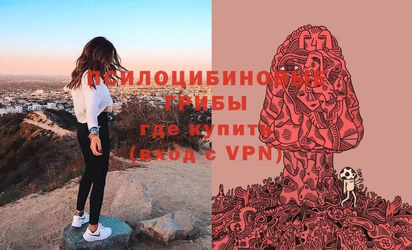 spice Лабытнанги