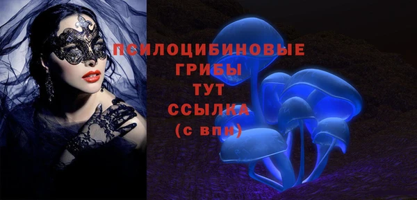 крисы Лагань