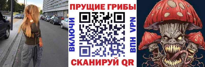ссылка на мегу ONION  Менделеевск  Псилоцибиновые грибы Psilocybine cubensis 